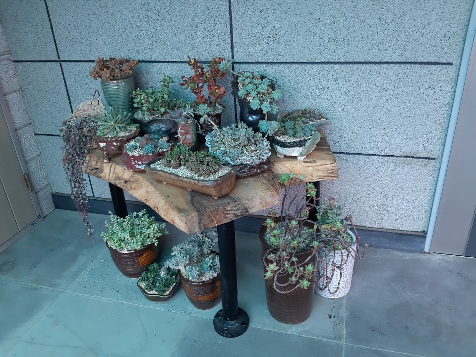 KakaoTalk_20181213_161036414.jpg