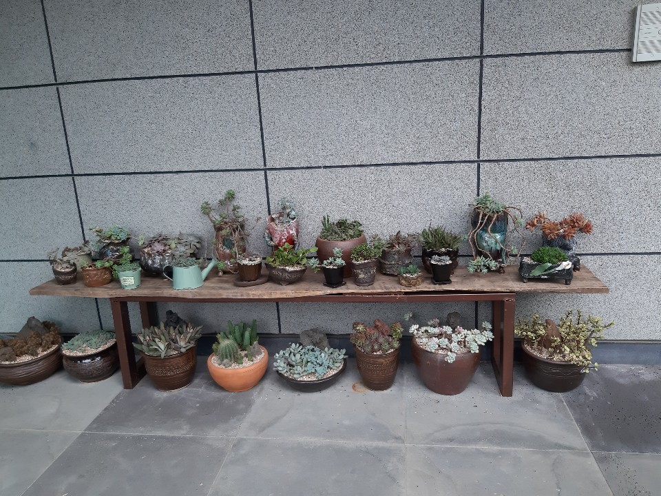 KakaoTalk_20181213_161037156.jpg